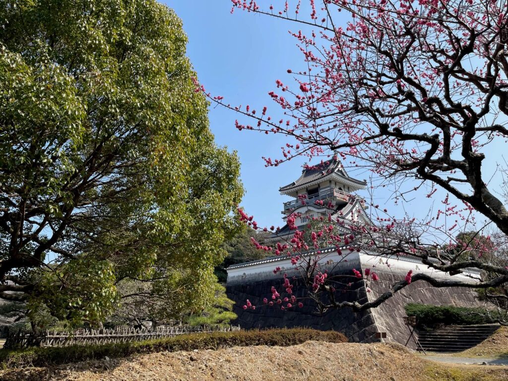 地元のシンボル小山城